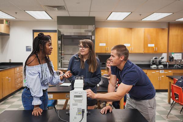 Students completing research